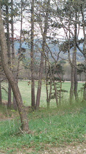 IMG 20150502 083257.jpg
