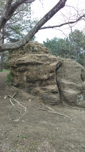 IMG 20150502 082843.jpg