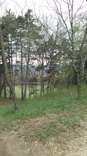 IMG 20150502 083251.jpg