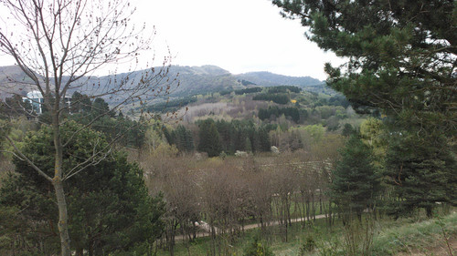 IMG 20150502 084443.jpg