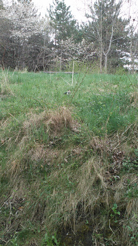 IMG 20150502 083114.jpg