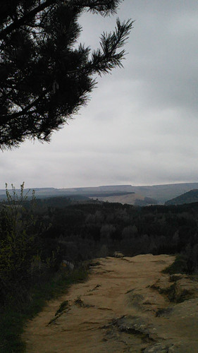 IMG 20150502 084457.jpg