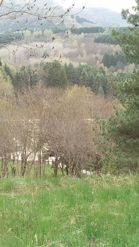 IMG 20150502 084406.jpg