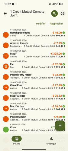 Screenshot 2026 08 11 18 32 23 379 com.rammigsoftware.bluecoins.jpg