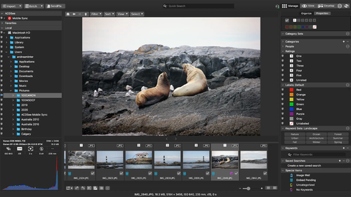 acdsee photo studio.png