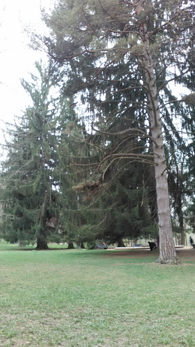 IMG 20150502 074601.jpg