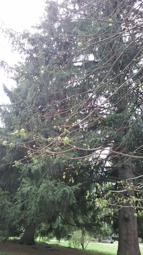 IMG 20150502 075144.jpg