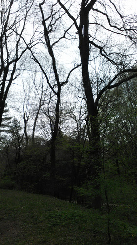 IMG 20150502 074616.jpg