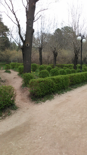 IMG 20150502 082103.jpg