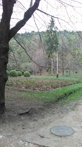 IMG 20150502 075141.jpg