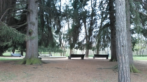 IMG 20150502 074638.jpg