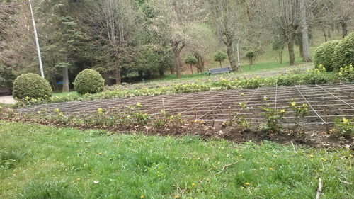 IMG 20150502 075318.jpg