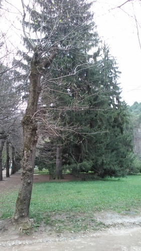 IMG 20150502 074606.jpg