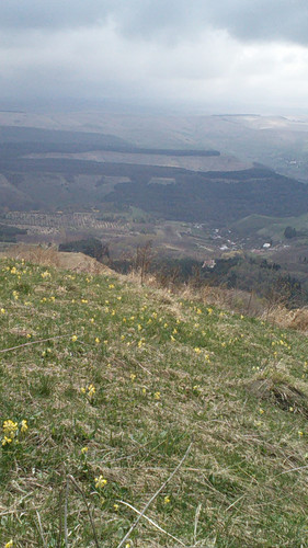 IMG 20150502 120127.jpg