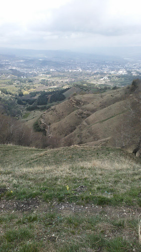 IMG 20150502 113738.jpg