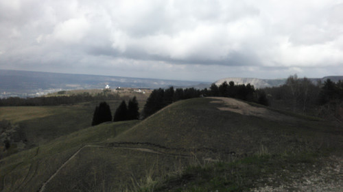 IMG 20150502 113619.jpg