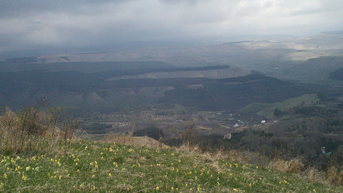 IMG 20150502 120131.jpg