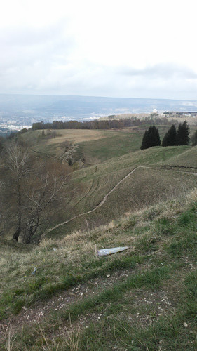 IMG 20150502 113740.jpg