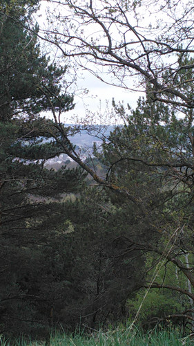 IMG 20150502 084517.jpg