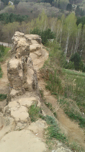 IMG 20150502 085121.jpg