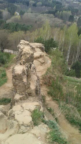 IMG 20150502 085123.jpg
