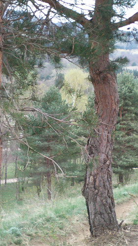 IMG 20150502 084514.jpg