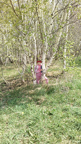 IMG 20150502 102003.jpg