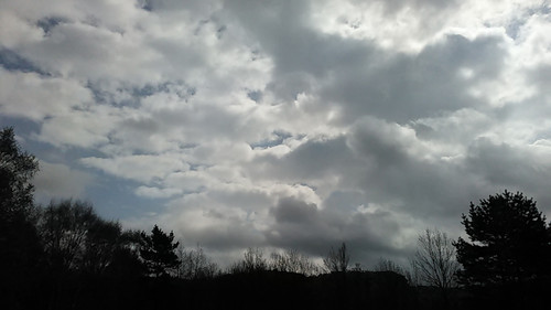 IMG 20150502 092808.jpg