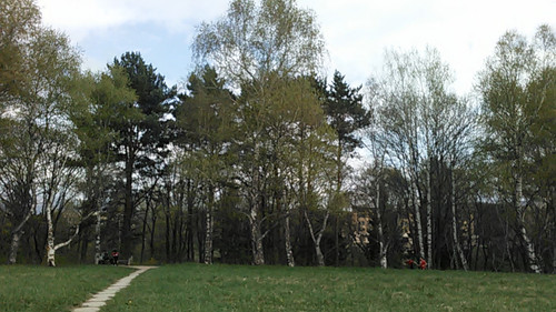IMG 20150502 092824.jpg