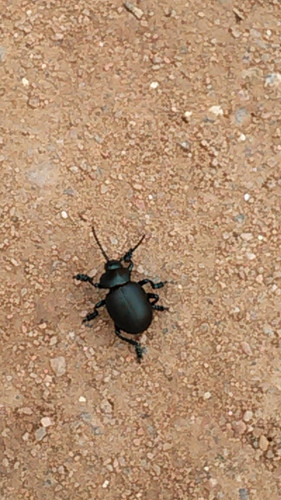 IMG 20150502 091307.jpg