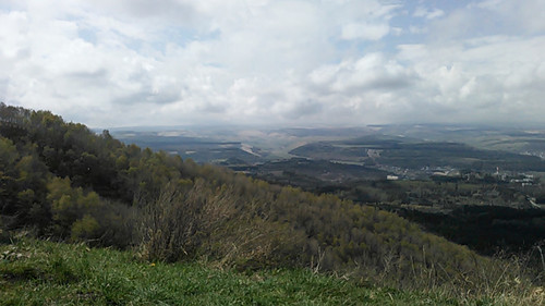 IMG 20150502 101953.jpg