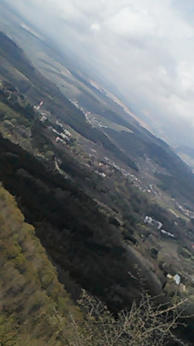 IMG 20150502 101829.jpg