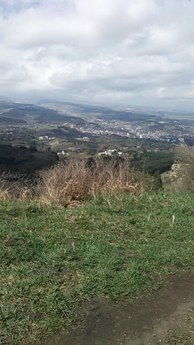 IMG 20150502 102019.jpg