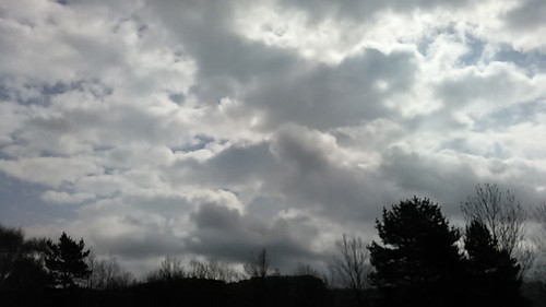 IMG 20150502 092810.jpg
