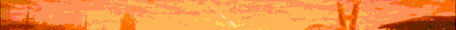maxxx.gif
