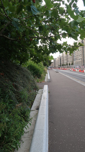 IMG 0294.jpg