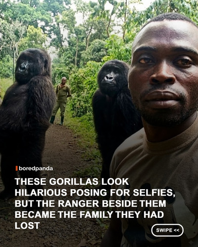 swipe to read.jpg