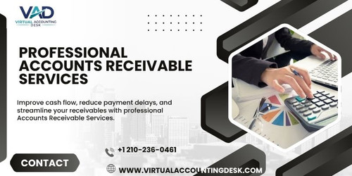 Professional Accounts Receivable Services.jpg