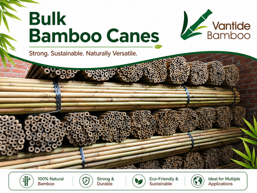 Bulk Bamboo Canes.png