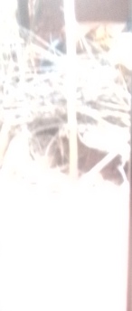 temp.png