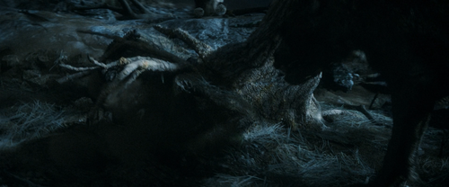 The.Hobbit.An.Unexpected.Journey.2012.Extended.1080p.AMZN.WEB DL.DDP.5.1.H.264 PiRaTeS.2:39:44.optim.png