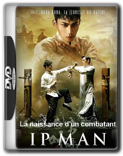 Ip Man, Naissance d'un combattant (2023).png