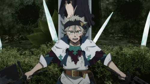 clover 100.jpg