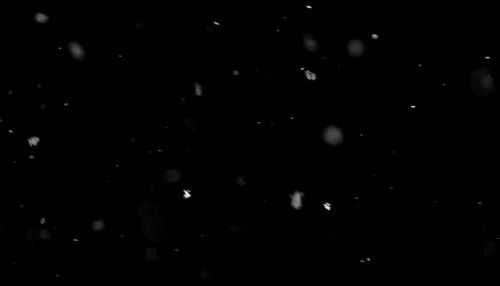 1000001110.gif
