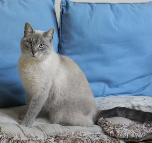 DSCN1615.jpg