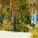 Tumblr l 256699250181223.gif