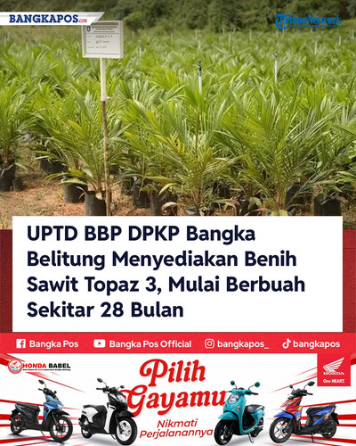 IG HONDA 20260812 100628 UPTD BBP DPKP Bangka Belitung Menyediaka.jpg