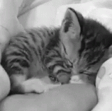 b203427f5041a1dbc1a61bdeed3ca909.gif