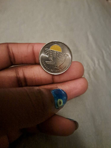 53efe71be527.jpg