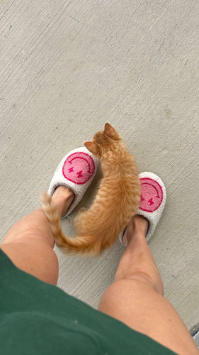 fionamaefit 2026 04 21T01 02 47.jpg
